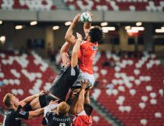 开云体育入口-非洲雄狮逆转史诗，托尼王朝的达喀尔曙光