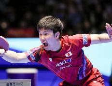 开云官方app入口-亚洲联赛淘汰赛赛况激烈异常